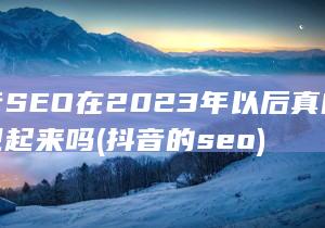 抖音SEO在2023年以后真的要重视起来吗 (抖音的seo)