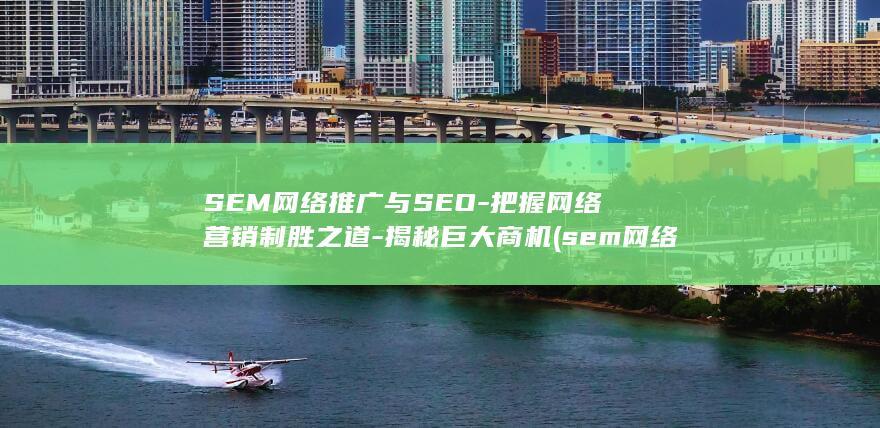 SEM网络推广与SEO-把握网络营销制胜之道-揭秘巨大商机 (sem网络推广是什么)