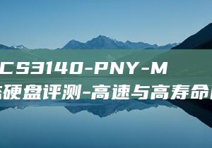 2TB-CS3140-PNY-M.2固态硬盘评测-高速与高寿命的兼顾