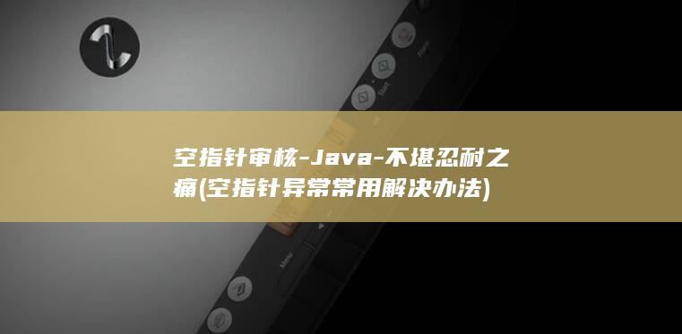 空指针审核-Java-不堪忍耐之痛 (空指针异常常用解决办法)