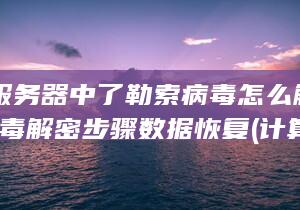 计算机服务器中了勒索病毒怎么解决-勒索病毒解密步骤数据恢复 (计算机服务器运行失败)