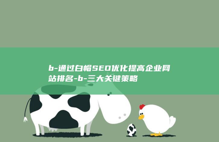 b-通过白帽SEO优化提高企业网站排名-b-三大关键策略