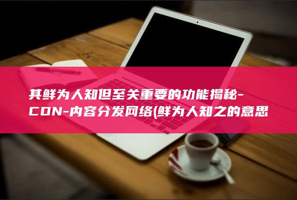 其鲜为人知但至关重要的功能揭秘-CDN-内容分发网络 (鲜为人知之的意思)