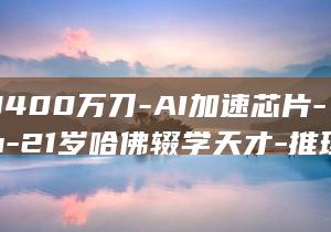 估值3400万刀-AI加速芯片-Sohu-21岁哈佛辍学天才-推理性能超H100十倍 (估值怎么算出来的)