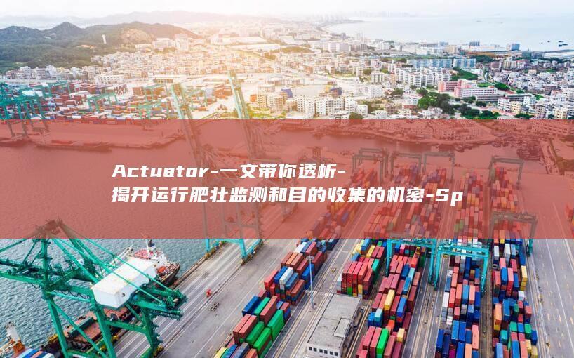 Actuator-一文带你透析-揭开运行肥壮监测和目的收集的机密-Spring (actuator)