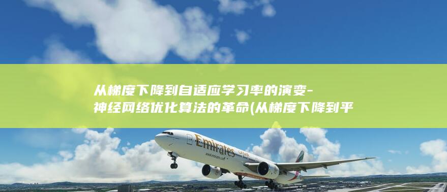 从梯度下降到自适应学习率的演变-神经网络优化算法的革命 (从梯度下降到平衡状态)